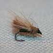 Black Caddis